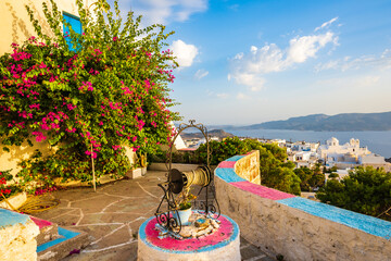 Wall Mural - Terrace of typical whitte house with blue windows and flowers and cacti plants in Plaka village, Milos island, Cyclades, Greece