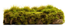 Green Moss Growing On The Ground Isolated On Transparent Background. Generative AI