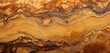 Drenched in golden hues, the intricate patterns of fossilized wood from Washington State come alive in this high-definition snapshot, showcasing the artistry of geological time.