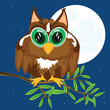 Bird owl on branch tree moon in the night