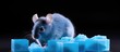 Blue rodent poison blocks can be placed in active areas; after consuming, rodents will be eliminated.