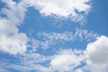Wall Mural - a summer day with blue sky