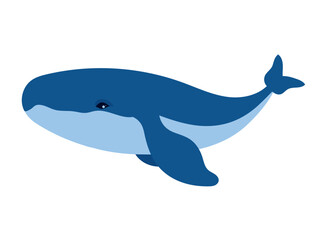 Wall Mural - humpback sealife diving