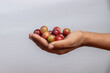 Hands holding camu camu fruits, an exotic fruit from the Amazon that grows on the banks of rivers, it is highly appreciated for its flavor, it is considered the fruit with the most vitamin C