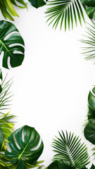 Wall Mural - Tropical leaves Monstera white graphic background