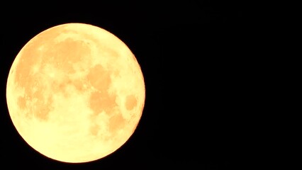 Wall Mural - A glowing golden huge full moon seen from earth through the atmosphere against a starry night sky. A large full moon moves across the sky, the moon moving from the left frame to the right.