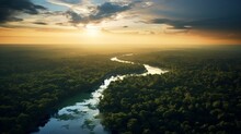 Beautiful Green Amazon Forest Landscape At Sunset. Adventure, Explore, Air Dron View, Vibe
