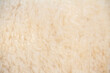 White sheep wool background, Background pattern of soft warm material