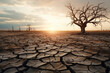 Water shortage problem. Dry earth cracked and dried up plants, desert landscape at sunset