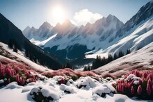 Snowy Mountain Peaks Framing A Valley Filled With Hardy Winter Flowers, Illustrating The Harmonious Blend Of Cold Elegance And The Tenacity Of Nature's Blooms