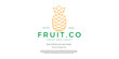 fresh fruit logo design for graphic designer or web developer