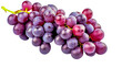 Isolated bunch of grapes merlot variety closeup on transparent or white background. 