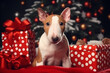 Bull Terrier puppy sits in the middle of Christmas red presents with dots, tree in the background