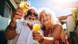happiness old couple pension retired marry couple enjoy vacation at home hand hold alcohol cocktail drink summertime cheerful