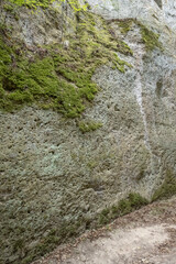 Wall Mural - dug cliff face at Vie Cave trail under forest, Pitigliano, Italy