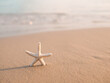 © maybeiii - Starfish on the beach with sea background