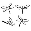 Group of dragonfly sketch on transparent background. Insects.
