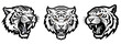 Set of Tiger Heads, predatory dangerous cat, Siberian tiger, black and white vector graphics, silhouette laser cutting