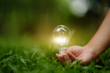 Light bulb Energy saving green nature background