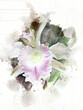 Cattleya Orchid Watercolor