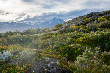 Canvas Print - Tierra del fuego island landscape, argentina