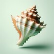 shells on white background
