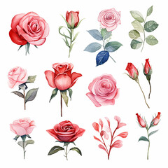 Poster - Valentine's day roses set watercolor illustration style on white background