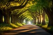 A serene tree tunnel with close-up shots of road benches along a winding path, bathed in soft, dappled sunlight.