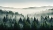 larch coniferous forest taiga illustration cedar hemlock, juniper evergreen, boreal woodland larch coniferous forest taiga