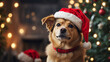 dog wearing santa hat on blurry christmas tree background