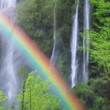 rainbow in the waterfall
