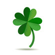 Lucky Green Four Leaf Clover for St. Patrick Day. Vector illustration isolated on white.