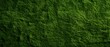 green Grass texture background,Soccer field in football stadium background, can be used for printed materials like brochures, flyers, business cards.	
