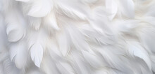 A High-resolution Image Showcasing A 3D Wall Texture With An Elegant, White Swan Feather Pattern. 8k,