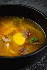 Wall Mural - Traditional Russian and Ukrainian cuisine, appetizing chicken soup with egg on a dark background