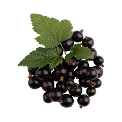 Wall Mural - heap of black currant berries and leaves isolated on white background with clipping path, top view
