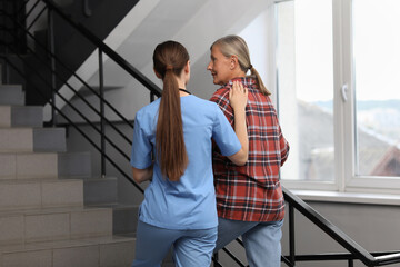 Wall Mural - Young healthcare worker assisting senior woman on stairs indoors, back view