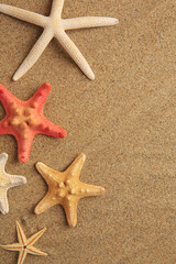 Wall Mural - Beautiful sea stars on sand, flat lay. Space for text