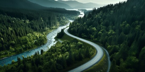 Poster - Aerial view of a road winding through a dense forest and running alongside a lake.