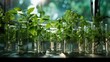 Many green plants in test Tubes