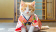 Cute kitten is sitting wearing a kimono