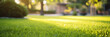 close up of green grass with blurred garden background