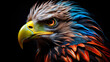 Eagle large bird of prey on a black background