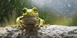 A frog with a green body sits on a ledge in the rain,Rain-soaked Elegance: Green Frog Perched on a Ledge
