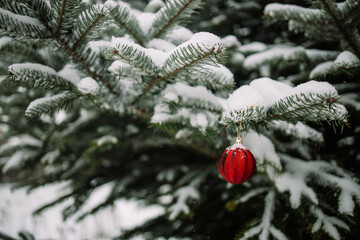 Wall Mural - Christmas and New years eve Background. Beautiful Wide Angle Holiday Template with Christmas red ball on fir tree and highlights. Panoramic classic header Web banner with copy space for design.