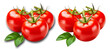 fresh red tomatoes with leaves, with and without shadow isolated on a transparent background