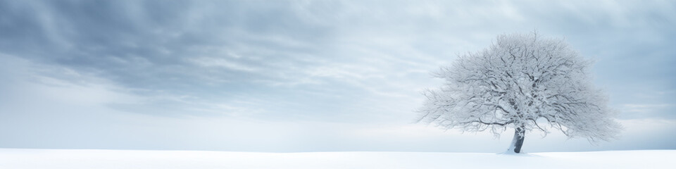 Poster - snow covered trees