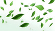 © john - Green leaves movement falling flow 3d rendering illustration background png file