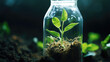 Closeup of a green sprout growing out of the ground in plastic bottle, reuse and recycle concept. Recycle plastic, stop pollution.