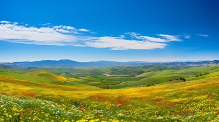 Wall Mural - A panoramic view of rolling hills blanketed in a sea of wildflowers under a clear blue sky. Keywords